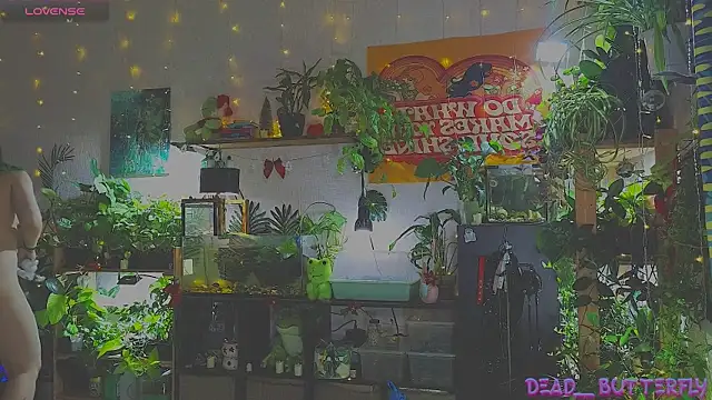 Snapshot of Dead_Butterfly chatting on 01-12-25, 03:28 Dead Butterfly online show from 01-12-25, 03:28
