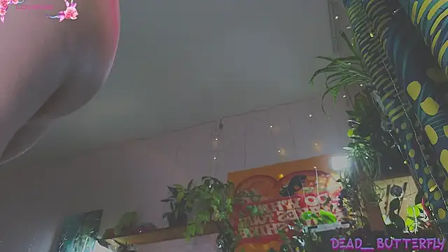 Snapshot of Dead_Butterfly chatting on 02-08-25, 03:41 Dead Butterfly online show from 02-08-25, 03:41