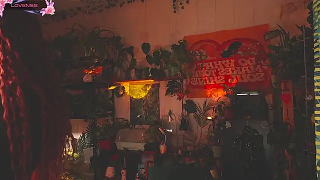 Dead Butterfly online show from 11-18-25, 03:32