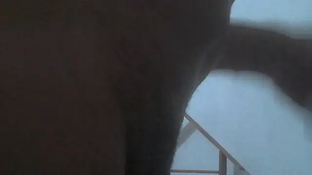 el principe hot online show from 11-28-25, 03:50