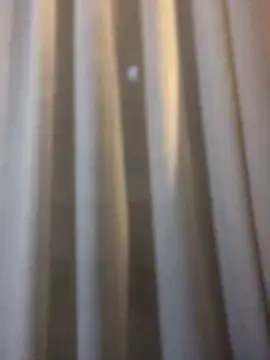 Chic desire online show from 02-22-26, 06:53