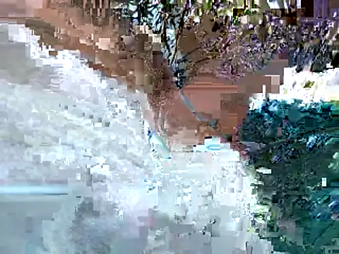 lilpervt online show from 06-11-26, 12:32