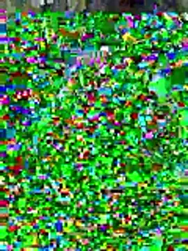 sissyvee online show from 01-15-26, 05:00