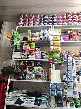 emilyjohanson online show from 12-17-25, 03:50