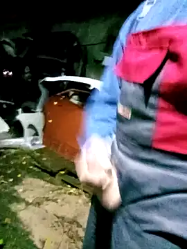 Pokaz2020 online show from 09-29-25, 07:41