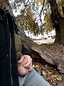 Pokaz2020 online show from 10-20-25, 11:11