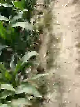 Snapshot of ThethunderPo chatting on 02-25-26, 07:41 ThethunderPo online show from 02-25-26, 07:41