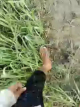 Snapshot of ThethunderPo chatting on 02-19-25, 01:51 ThethunderPo online show from 02-19-25, 01:51