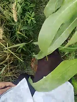 Snapshot of ThethunderPo chatting on 03-21-25, 02:50 ThethunderPo online show from 03-21-25, 02:50