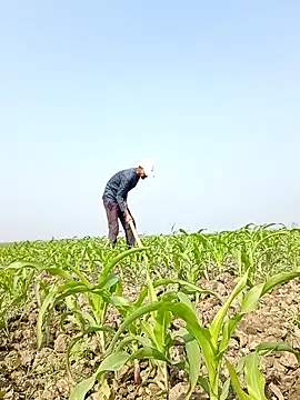 Snapshot of ThethunderPo chatting on 02-06-26, 04:41 ThethunderPo online show from 02-06-26, 04:41