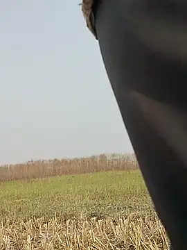 ThethunderPo online show from 11-16-25, 04:39