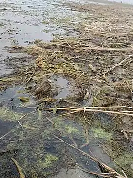 ThethunderPo online show from 01-06-26, 11:14