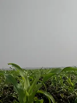 Snapshot of ThethunderPo chatting on 02-03-26, 06:51 ThethunderPo online show from 02-03-26, 06:51