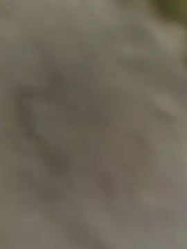 Snapshot of ThethunderPo chatting on 10-31-25, 03:25 ThethunderPo online show from 10-31-25, 03:25