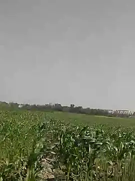 Snapshot of ThethunderPo chatting on 03-03-25, 04:21 ThethunderPo online show from 03-03-25, 04:21