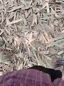 Snapshot of ThethunderPo chatting on 02-21-25, 05:24 ThethunderPo online show from 02-21-25, 05:24