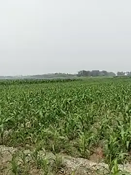 Snapshot of ThethunderPo chatting on 02-26-25, 06:30 ThethunderPo online show from 02-26-25, 06:30