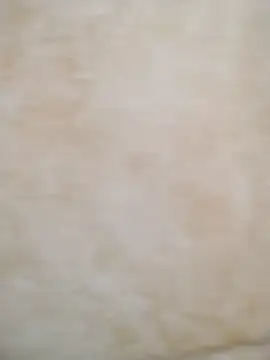 Camilatinass  online show from 04-03-26, 11:27