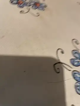 descret 19 online show from 04-25-26, 04:04