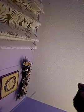 UncutHammer69 online show from 12-20-25, 07:44