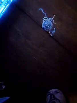 UncutHammer69 online show from 04-09-26, 03:07