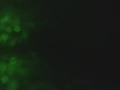 lonelycock33 online show from 11-07-25, 09:41