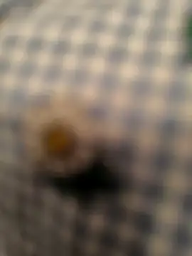 geilerboy2628 online show from 03-13-26, 02:16