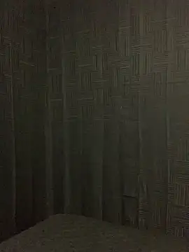 Snapshot of Rakiyahcharms chatting on 02-15-26, 11:31 Rakiyahcharms online show from 02-15-26, 11:31