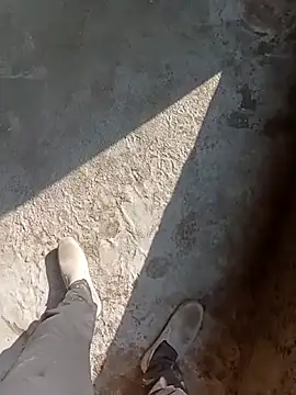 Bengali BULL1 online show from 11-15-25, 08:40