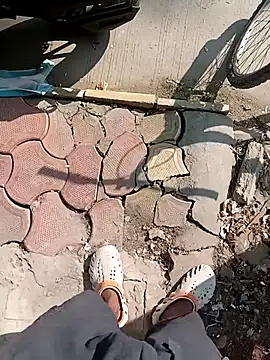 Bengali BULL1 online show from 11-20-25, 04:57