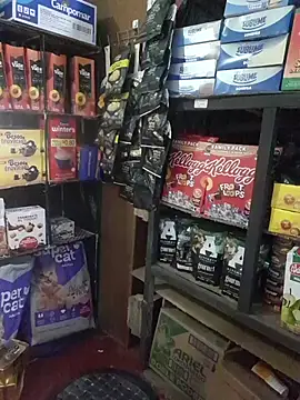 Kalani Engel online show from 04-19-26, 05:30