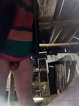 sarpe4 online show from 03-30-26, 04:30