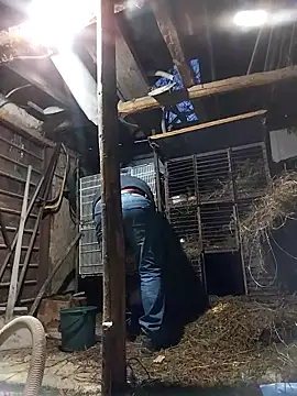 sarpe4 online show from 02-19-26, 04:15