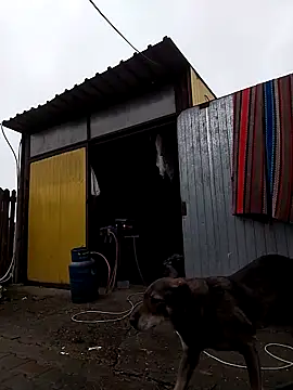 sarpe4 online show from 11-09-25, 09:02