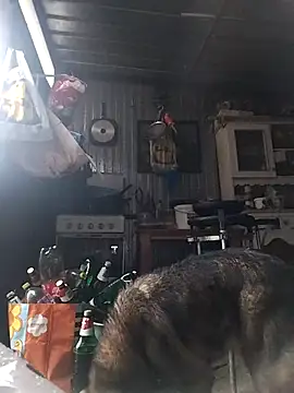 sarpe4 online show from 02-15-26, 03:00