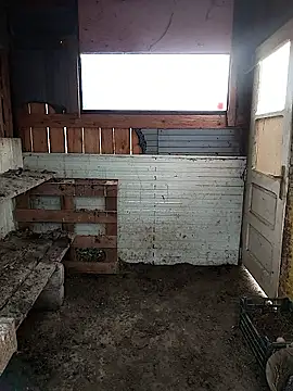 sarpe4 online show from 02-28-26, 06:57