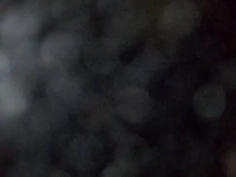 sarpe4 online show from 03-28-26, 01:56