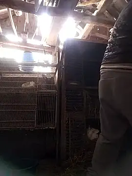 sarpe4 online show from 01-10-26, 08:20