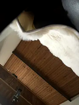 odbodu online show from 11-22-25, 08:51