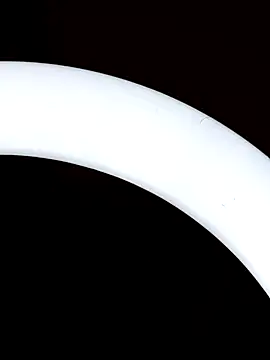 Snapshot of Bull8 chatting on 03-18-25, 01:34 Bull8 online show from 03-18-25, 01:34