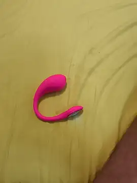 Bull8 online show from 11-30-25, 11:38