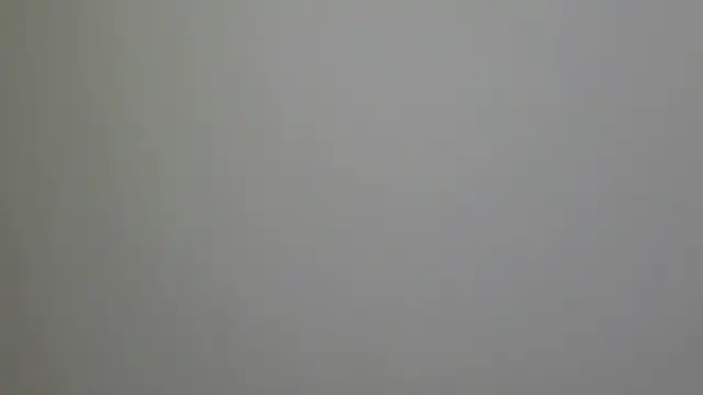WetFlower69 online show from 02-16-25, 03:27