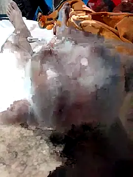 geroom online show from 11-16-25, 08:08