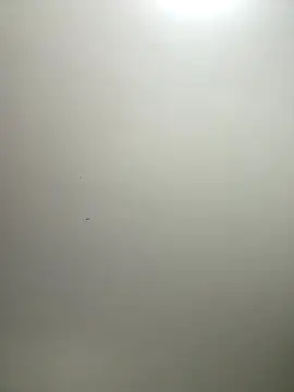 itsCassie online show from 12-17-25, 02:55