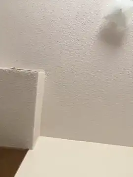 Snapshot of cumgitsumdic chatting on 02-03-25, 07:10 cumgitsumdic online show from 02-03-25, 07:10