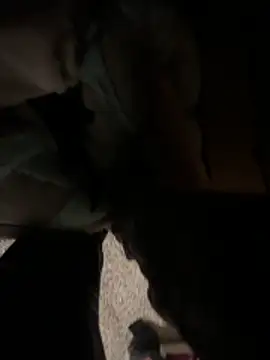 cumgitsumdic online show from 12-14-25, 12:06