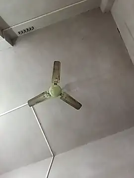 Dogol1990 online show from 12-15-25, 06:19