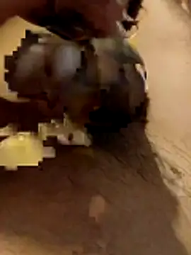 hq9870a online show from 11-29-25, 05:51