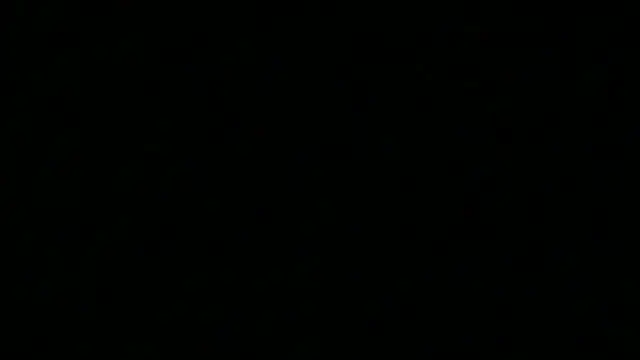 iAmNukka187 online show from 01-15-26, 05:11