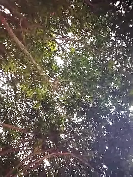 Brenda Berck  online show from 04-05-26, 12:56